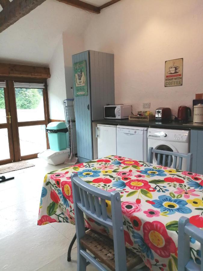 Killarney Saoirse Cottage Ngoại thất bức ảnh