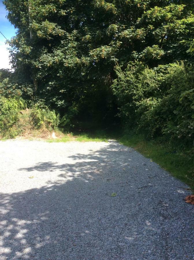 Killarney Saoirse Cottage Ngoại thất bức ảnh