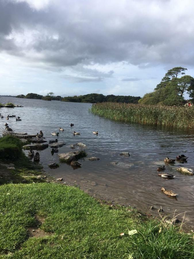 Killarney Saoirse Cottage Ngoại thất bức ảnh