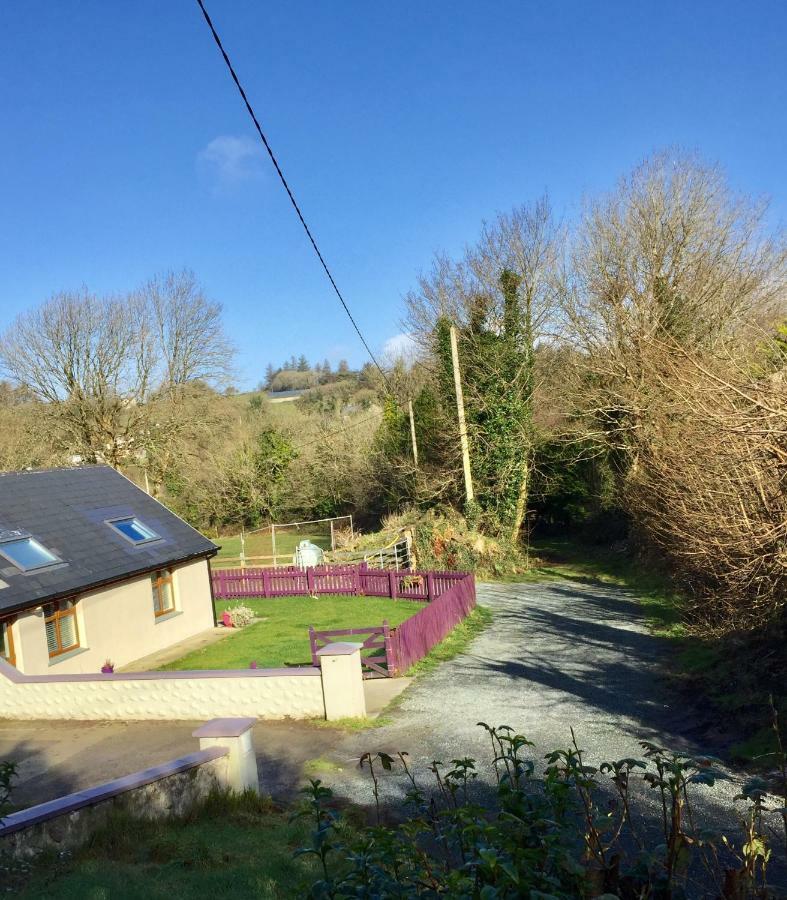 Killarney Saoirse Cottage Ngoại thất bức ảnh